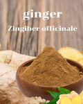 Organic Black Ginger Powder